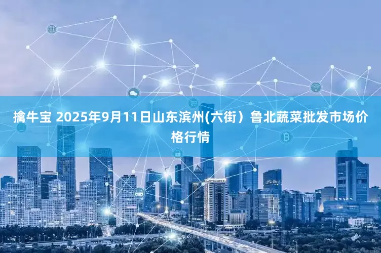 擒牛宝 2025年9月11日山东滨州(六街）鲁北蔬菜批发市场价格行情