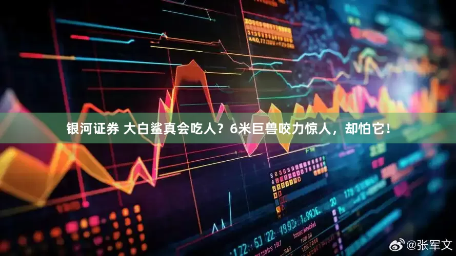银河证券 大白鲨真会吃人？6米巨兽咬力惊人，却怕它！