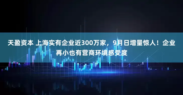 天盈资本 上海实有企业近300万家，9月日增量惊人！企业再小也有营商环境感受度